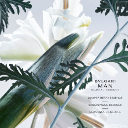 BVLGARI MAN GLACIAL ESSENCE EAU DE PARFUM REFILL 2