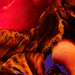 BVLGARI ALLEGRA FANTASIA VENETA EAU DE PARFUM  3