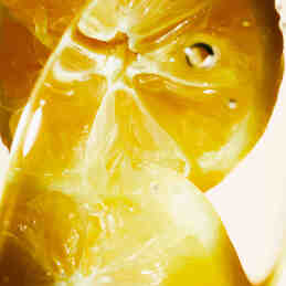 HAND LOTION YUZU TREE REFILL 1