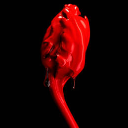 ROSE OF NO MAN'S LAND ABSOLU DE PARFUM 5