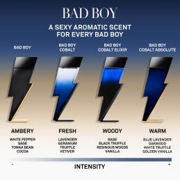 BAD BOY COBALT ABSOLUTE EAU DE PARFUM ABSOLUTE 3