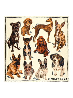 ΓΥΝΑΙΚΕΙΟ ΦΟΥΛΑΡΙ 0