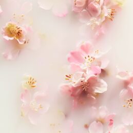 THE RITUAL OF SAKURA HAND BALM 2