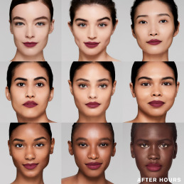 PURE COLOR MATTE LIPSTICK 2