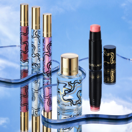ESTÉE LAUDER X DVF LIMITED EDITION INCHARGE MULTI-USE BLUSH STICK 4