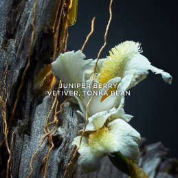 VÉTIVER LE PARFUM EAU DE PARFUM 3