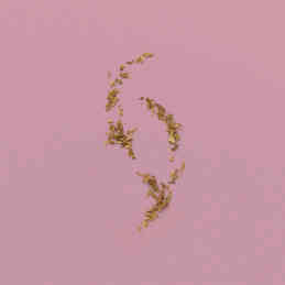 THE ALCHEMIST'S GARDEN A WINTER MELODY ACQUA PROFUMATA EAU DE TOILETTE 5