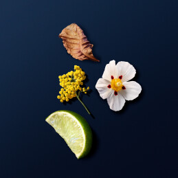 ACQUA DI GIÒ PROFONDO PARFUM 2