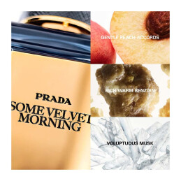  SOME VELVET MORNING EAU DE PARFUM 5