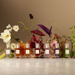 ANATOMY OF DREAMS BEHIND THE SEEN PARFUM 5