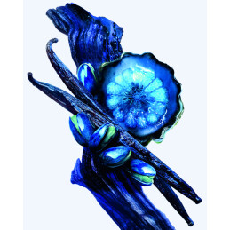 ANGEL STELLAR EAU DE PARFUM LUMINEUSE 2