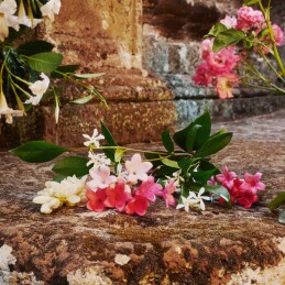 GUCCI BLOOM EAU DE TOILETTE 4