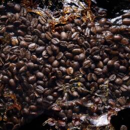 BLACK PHANTOM "MEMENTO MORI" 4