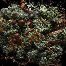 STRAIGHT TO HEAVEN, WHITE CRISTAL EAU DE PARFUM 4