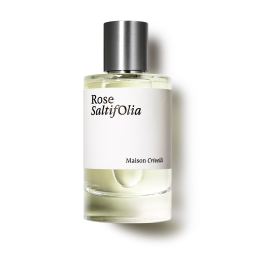 ROSE SALTIFOLIA EAU DE PARFUM 0