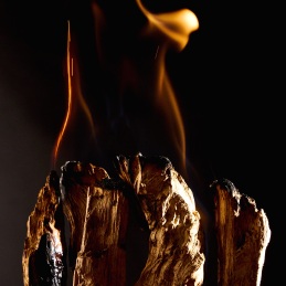 OUD STALLION EXTRAIT DE PARFUM 3