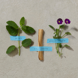 BOLD BLEND EAU DE PARFUM 5