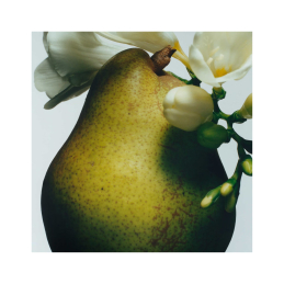 ENGLISH PEAR SCENTED DUO 1