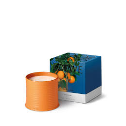 ORANGE BLOSSOM LARGE SCENTED CANDLE 1