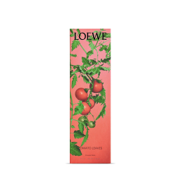 LOEWE TOMATO LEAVES INCIENSO REFILL 1