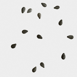 BLACK SESAME SCENTED CANDLE 2