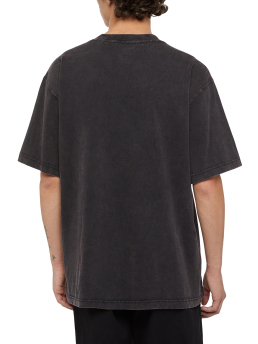 ΑΝΔΡΙΚΟ T-SHIRT PLENTYWOOD 2