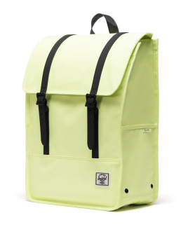 ΣΑΚΙΔΙΟ ΠΛΑΤΗΣ SURVEY 2