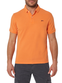 ΑΝΔΡΙΚΗ POLO ΜΠΛΟΥΖΑ 1