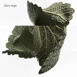 H24 EAU DE PARFUM REFILLABLE 4