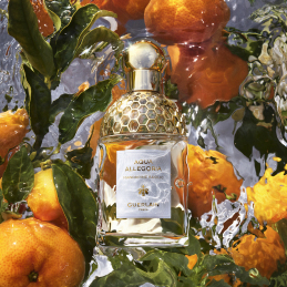 AQUA ALLEGORIA MANDARINE BASILIC  EAU DE TOILETTE  2