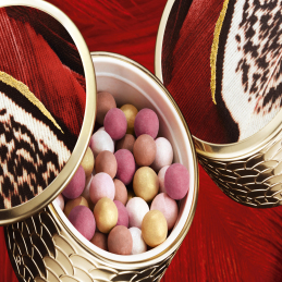 MÉTÉORITES PHOENIX LIGHT-REVEALING PEARLS OF POWDER 2