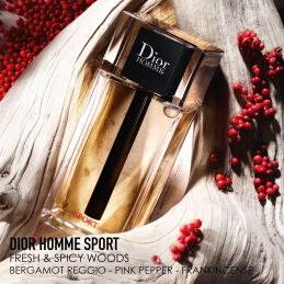 DIOR HOMME SPORT EAU DE TOILETTE FOR MEN 2