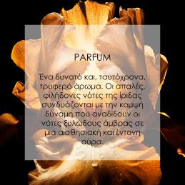 DIOR HOMME PARFUM FRAGRANCE - AMBERY, WOODY AND FLORAL NOTES 3