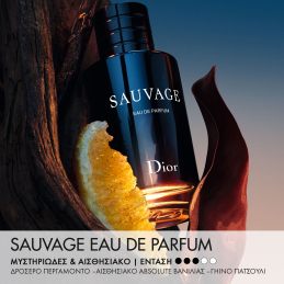 SAUVAGE SPRAY FOR THE WILD - LIMITED EDITION BOTTLE AND CASE - EAU DE PARFUM 1