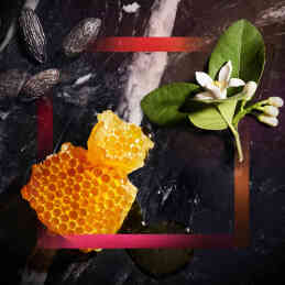 JOOP! HOMME EAU DE TOILETTE 4