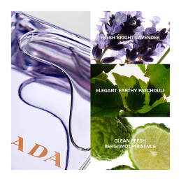 AMBER POUR HOMME EAU DE TOILETTE  4