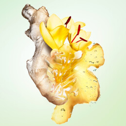 LES INFUSIONS DE GINGEMBRE EAU DE PARFUM 3