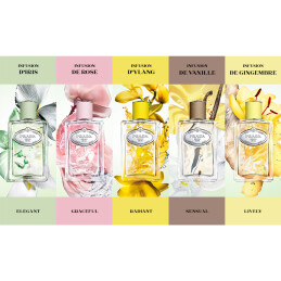 LES INFUSIONS DE GINGEMBRE EAU DE PARFUM 5