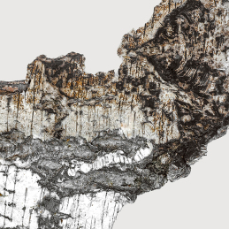 FALCON LEATHER EXTRAIT DE PARFUM 2