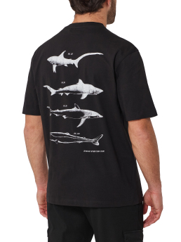 ΑΝΔΡΙΚΟ T-SHIRT 2