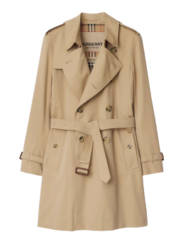 ΑΝΔΡΙΚΗ ΚΑΜΠΑΡΝΤΙΝΑ 0