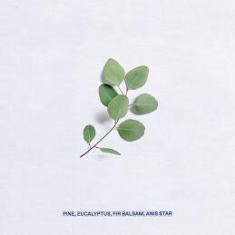 PHILOSIA EAU DE TOILETTE 5