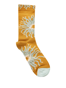 ΓΥΝΑΙΚΕΙΕΣ ΚΑΛΤΣΕΣ 0