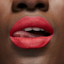 LOCKED KISS INK LIPCOLOUR 5