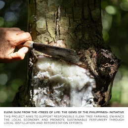 BVLGARI MAN IN BLACK PARFUM REFILL 5