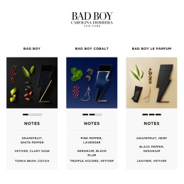 BAD BOY EAU DE TOILETTE 3