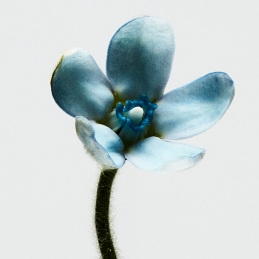 LOEWE 001 WOMAN EAU DE TOILETTE 2