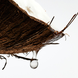 LOEWE PAULA'S IBIZA EAU DE TOILETTE 2