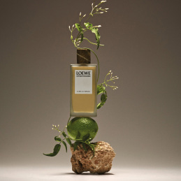 LOEWE UN PASEO POR MADRID LA BELLA CIBELES EAU DE PARFUM 3