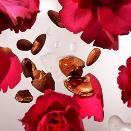 THE RITUAL OF AYURVEDA REFILL FRAGRANCE STICKS 1